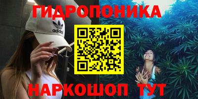 мяу мяу мука Кингисепп