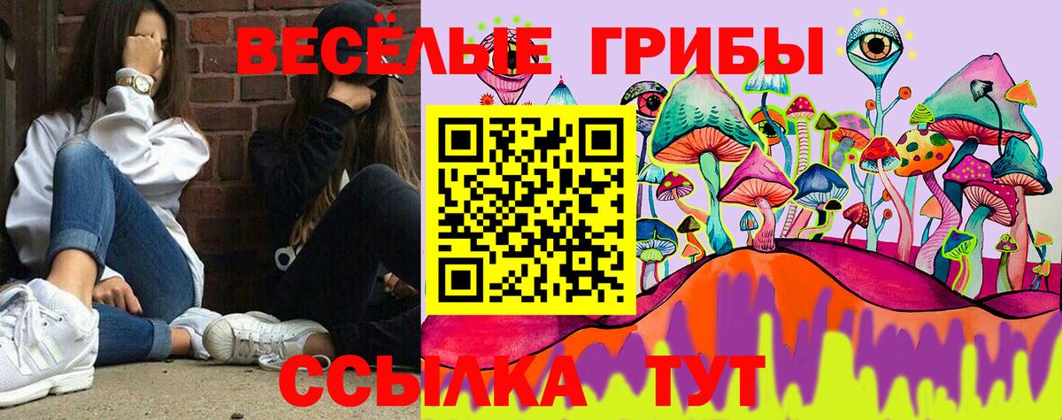 Псилоцибиновые грибы MAGIC MUSHROOMS Карпинск
