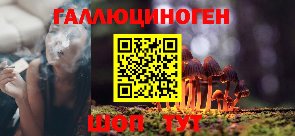 Галлюциногенные грибы Psilocybe  Вход с VPN  Карпинск 